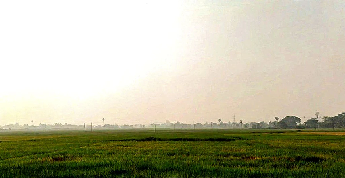 Naubatpur, Bihar 801109, India