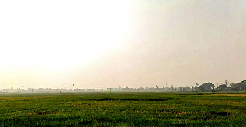 Agricultural Land in Naubatpur, Patna