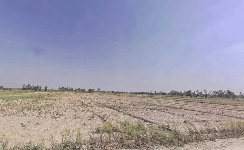 Jalalabad, Uttar Pradesh 242221, India preview 3
