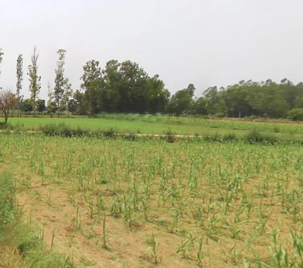 Asilpur, Uttar Pradesh, India