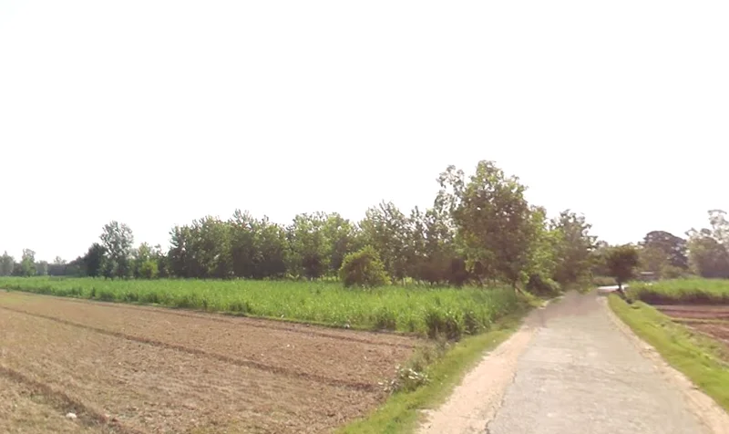 Bahadurgarh, Uttar Pradesh 245208, India preview 2