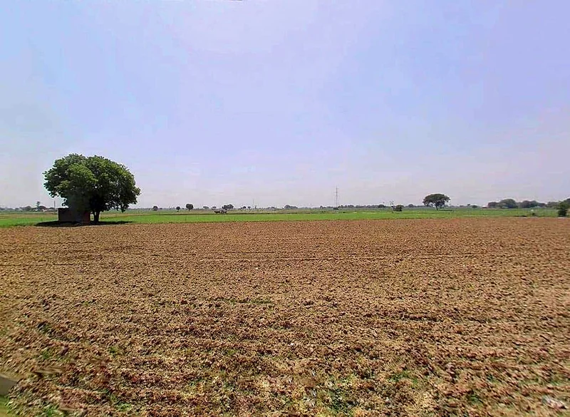 Shikarpur, Uttar Pradesh 203395, India preview 2