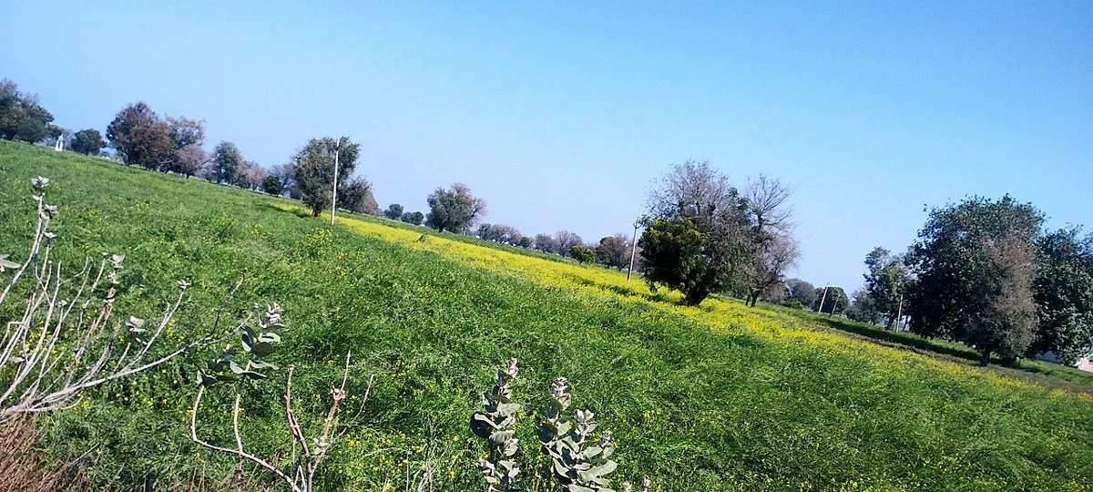 Badka, Rajasthan, India