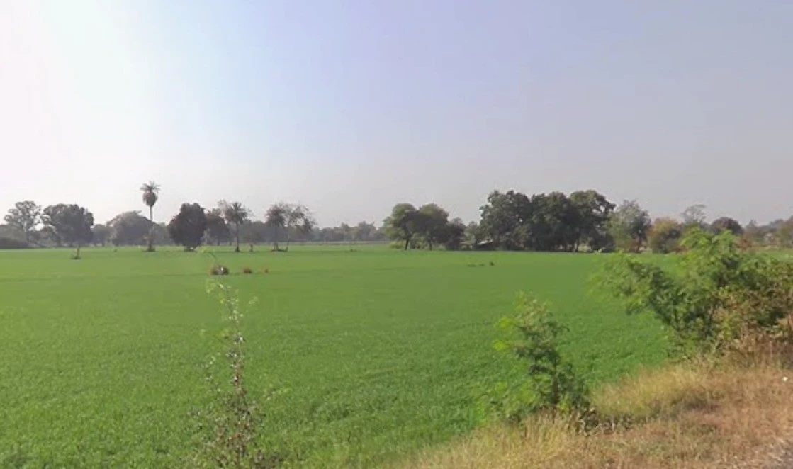 Agricultural Land in Bhidota khurd, Dhar