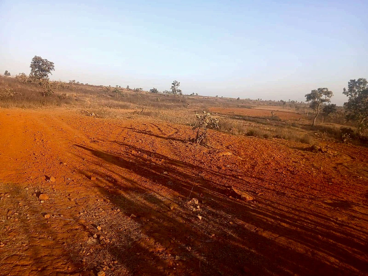 Agricultural Land in Shankarpur, Rewa