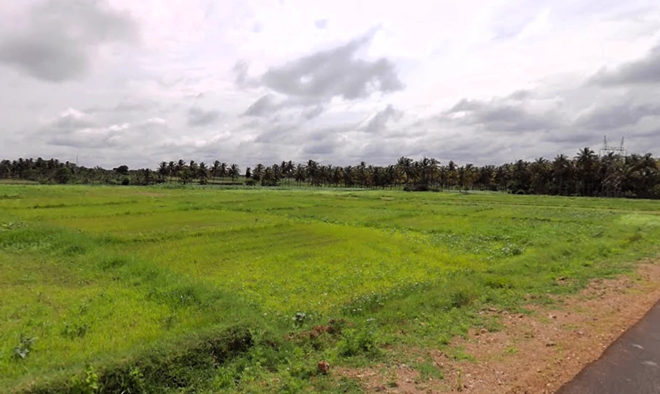 Heggadadevankote, Karnataka 571114, India