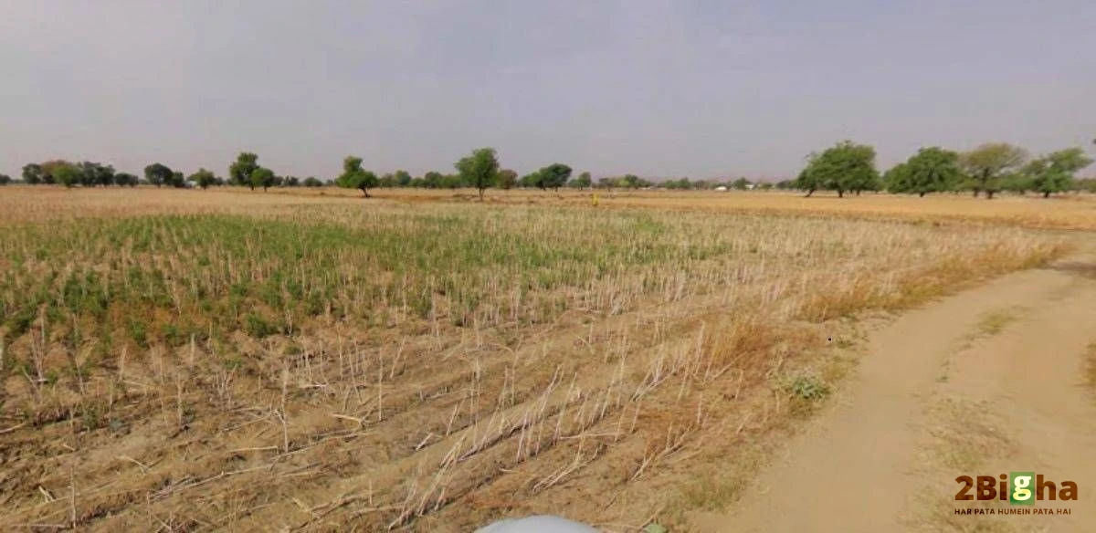 Muskara, Uttar Pradesh 210506, India