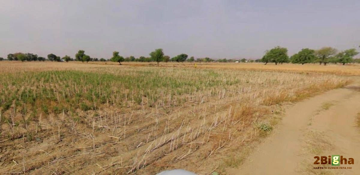 Muskara, Uttar Pradesh 210506, India