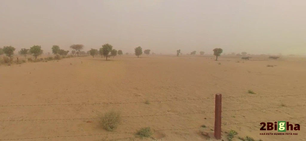 Norangdesar, Rajasthan 334022, India