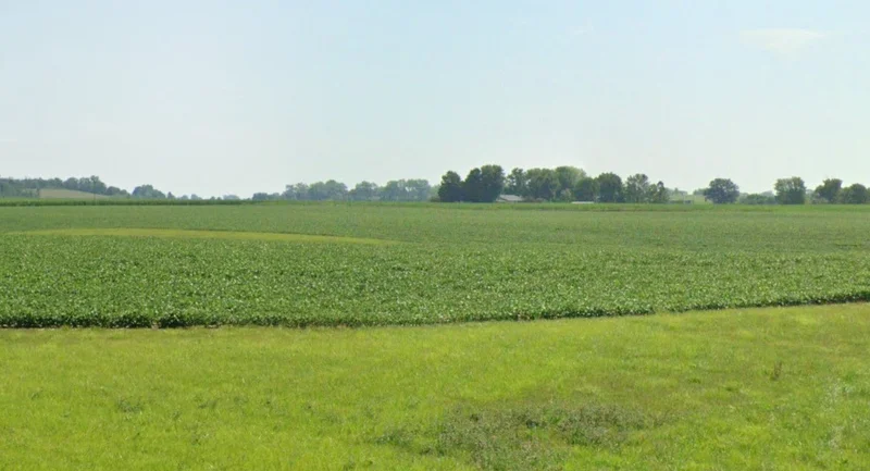 Gohinda, Madhya Pradesh 475220, India preview 2