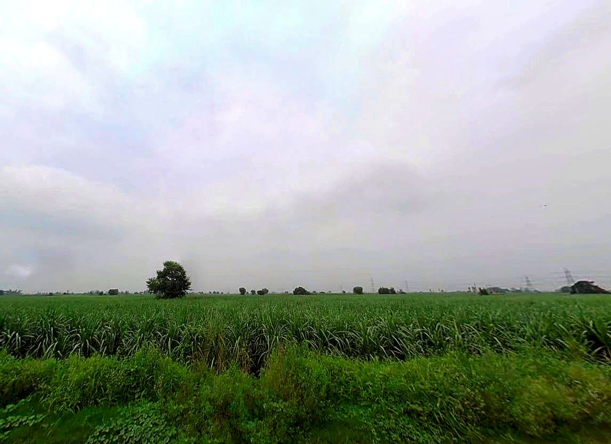 78CP+R7X, Durganpur, Uttar Pradesh 247771, India