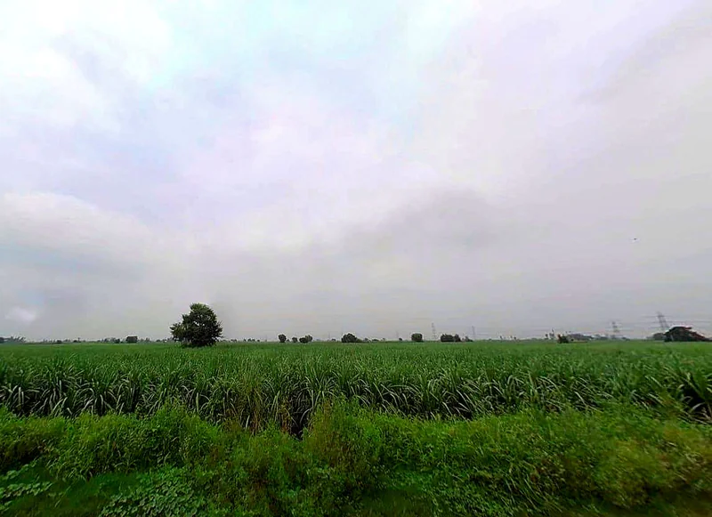 78CP+R7X, Durganpur, Uttar Pradesh 247771, India preview 2