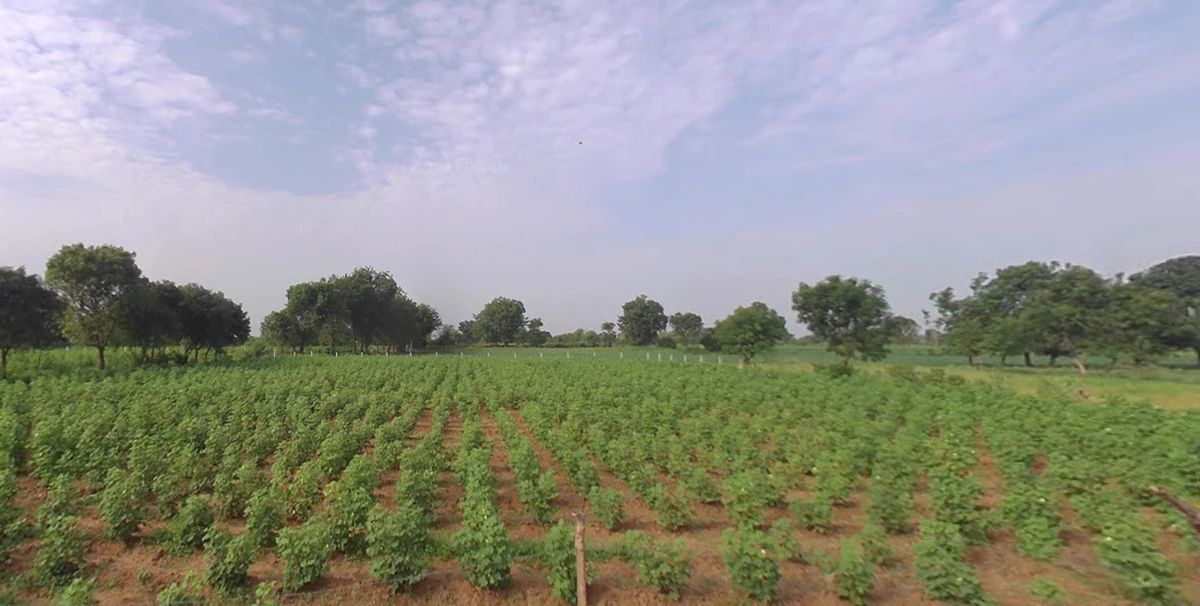 7WF9+98 Sawali bk, Maharashtra, India