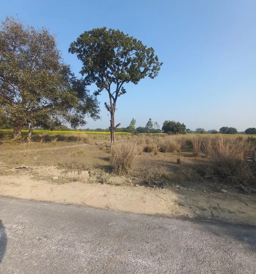 Sarojini Nagar, Lucknow, Uttar Pradesh, India