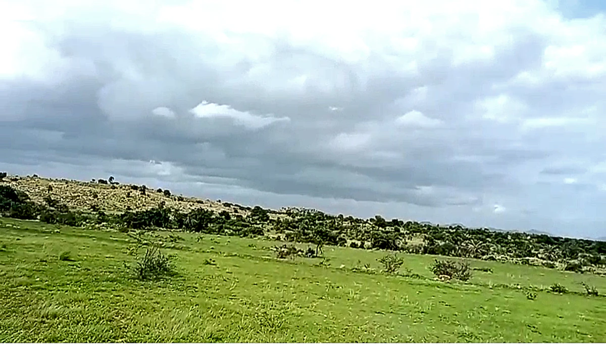 XMPF+QW Palasamudram, Andhra Pradesh, India