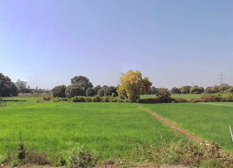 Mukundpur, Madhya Pradesh, India preview 3