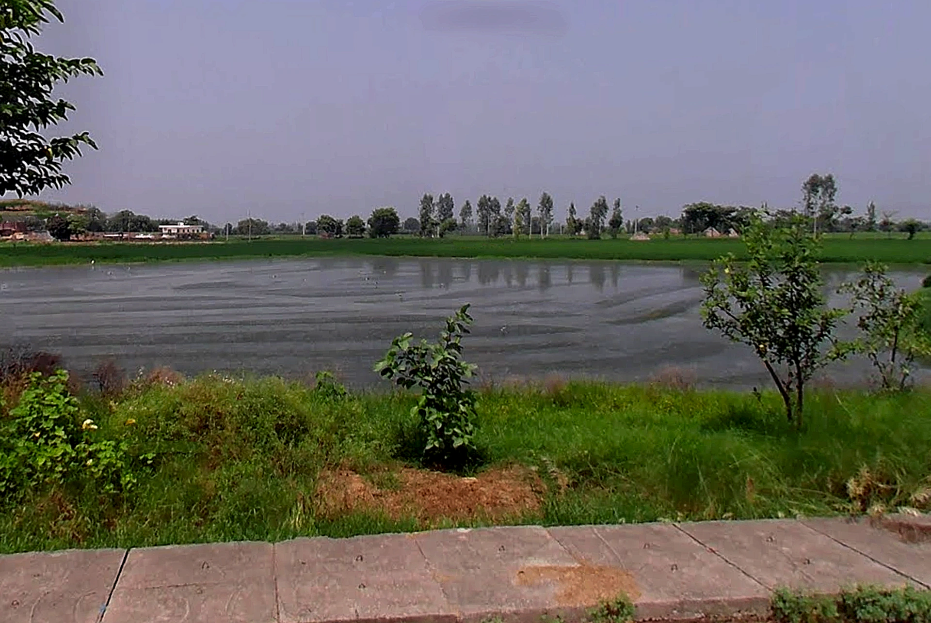 3M77+HVW, Bodhani, Loatani, Haryana 136129, India