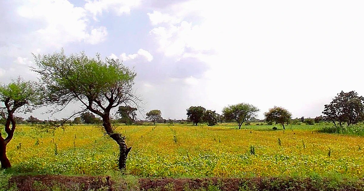 Obaidullaganj, Madhya Pradesh 464993, India