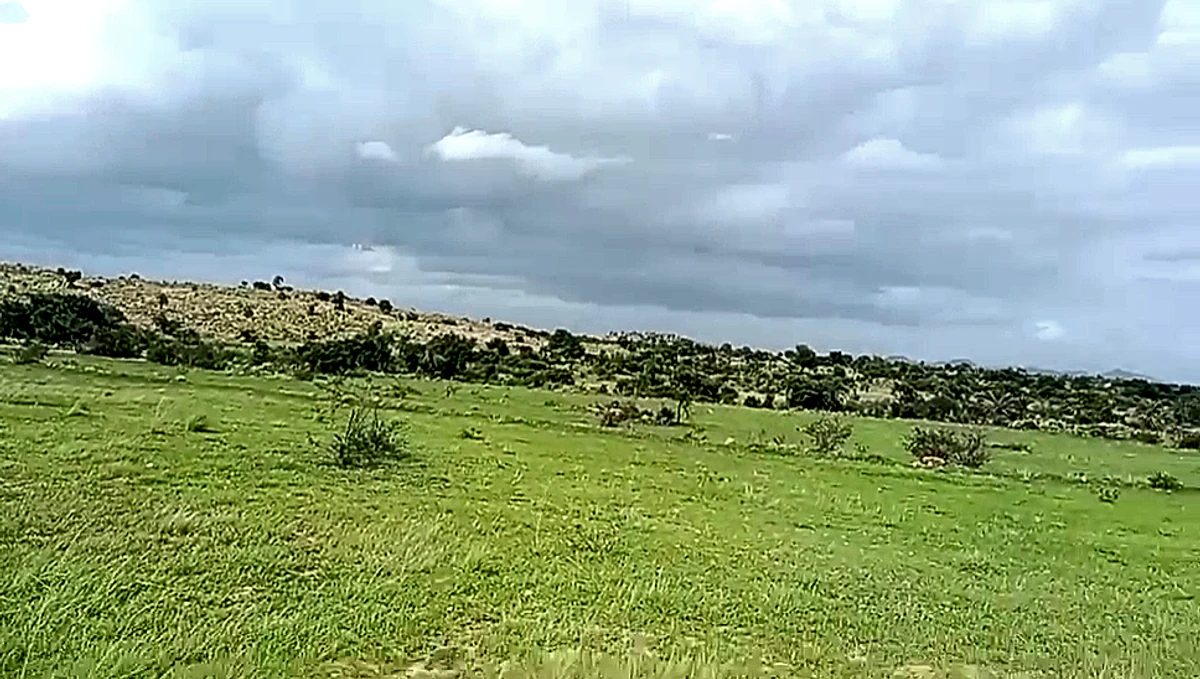 XMPF+QW Palasamudram, Andhra Pradesh, India