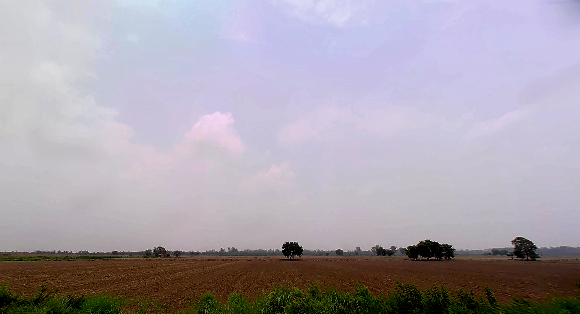 Tibbi, Haryana 134204, India