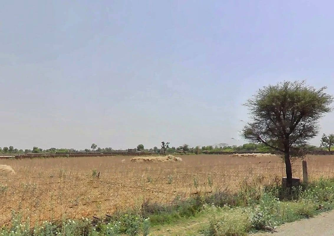 QW5G+RX Ralawata, Rajasthan, India