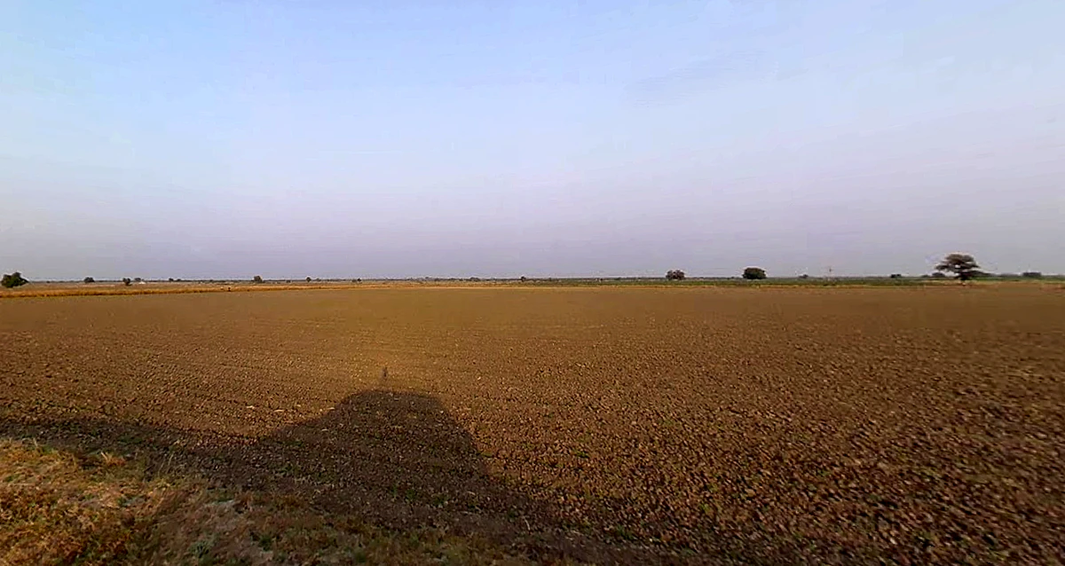 Plasva, Gujarat 362015, India