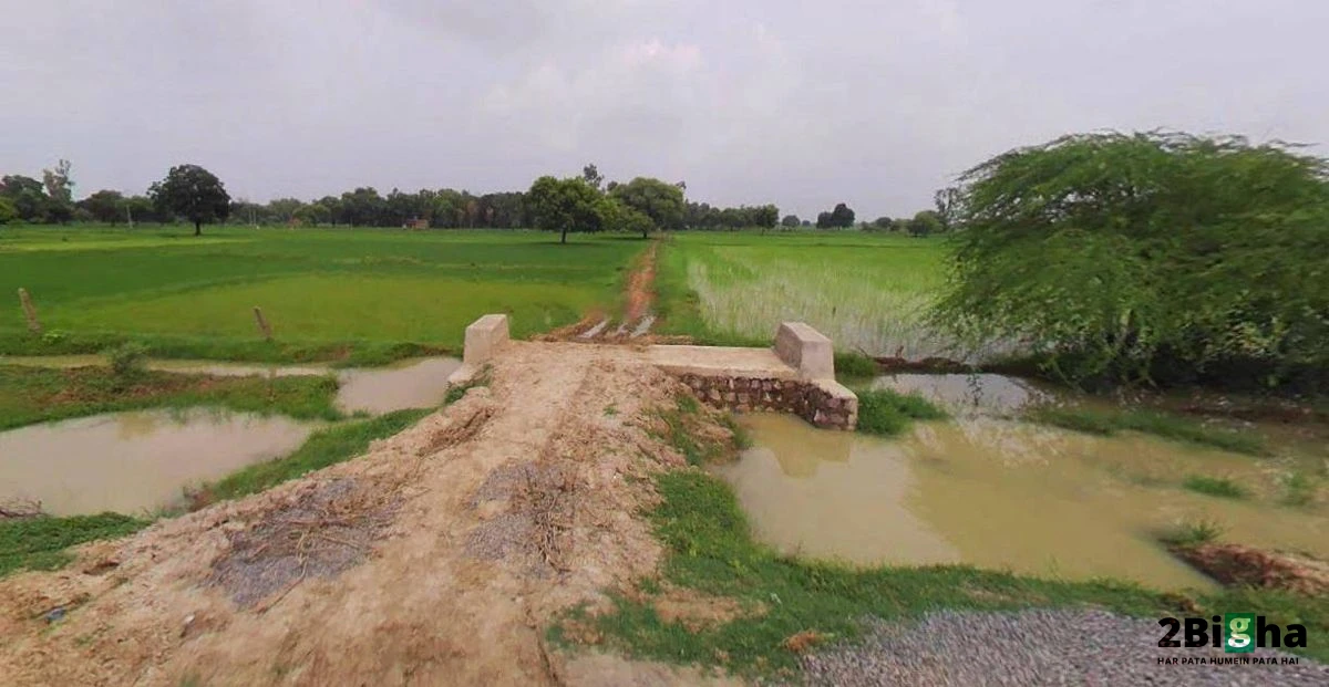 Muskara, Uttar Pradesh 210506, India