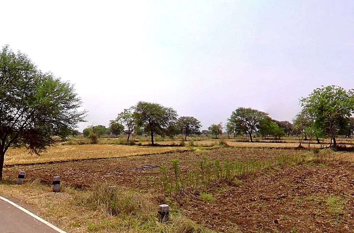 Samesar, Chhattisgarh 491337, India