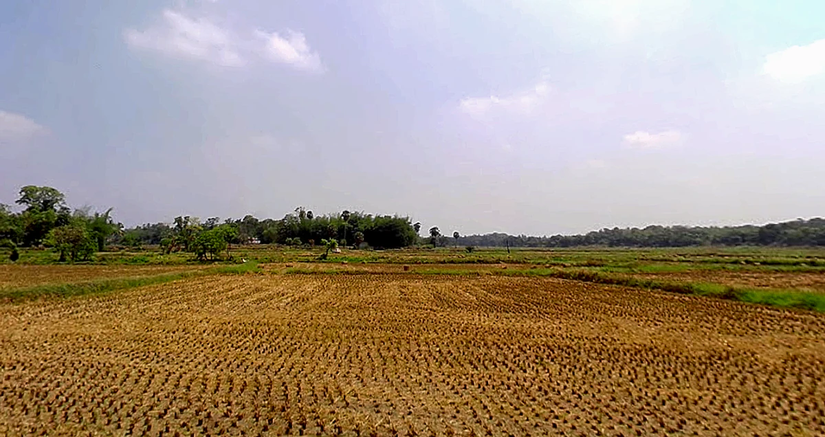 Nallepilly, Kerala 678553, India