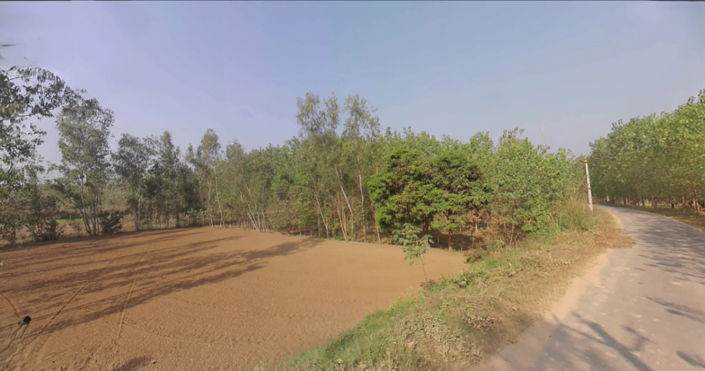 Roorkee Byp Rd, Todakalyanpur, Roorkee, Uttarakhand, India