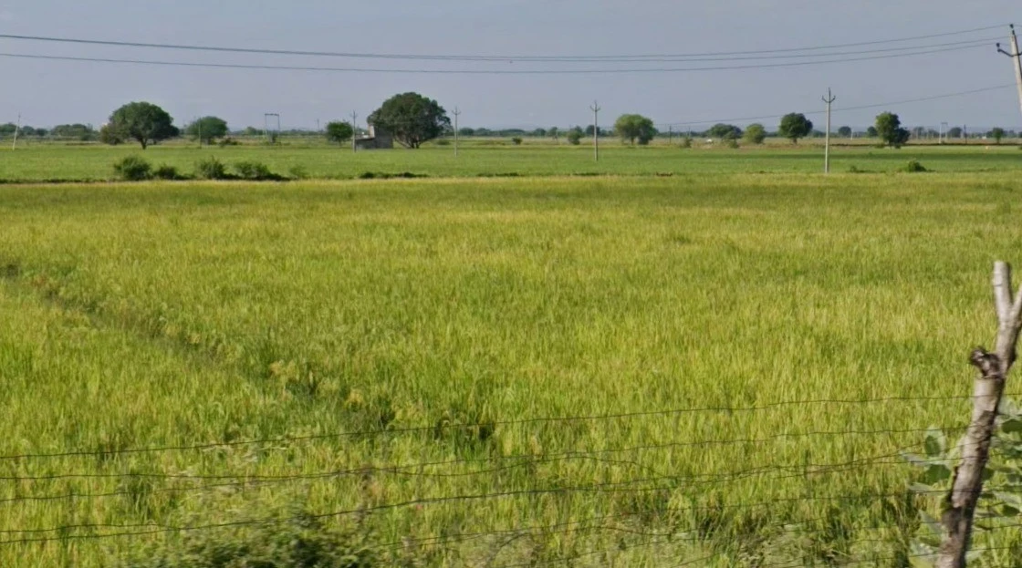 CJF2+4M5, Semra, Madhya Pradesh, India