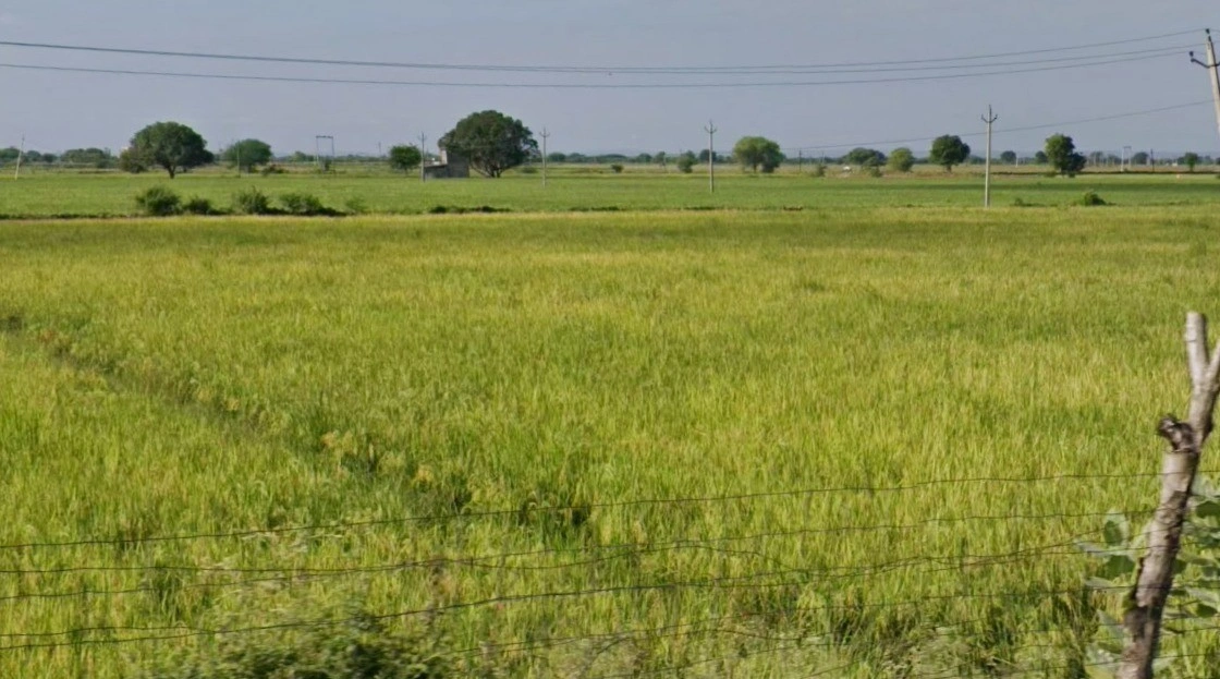 CJF2+4M5, Semra, Madhya Pradesh, India