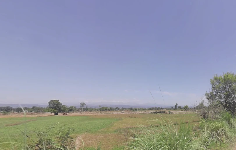 Agricultural Land in Raison, Kullu