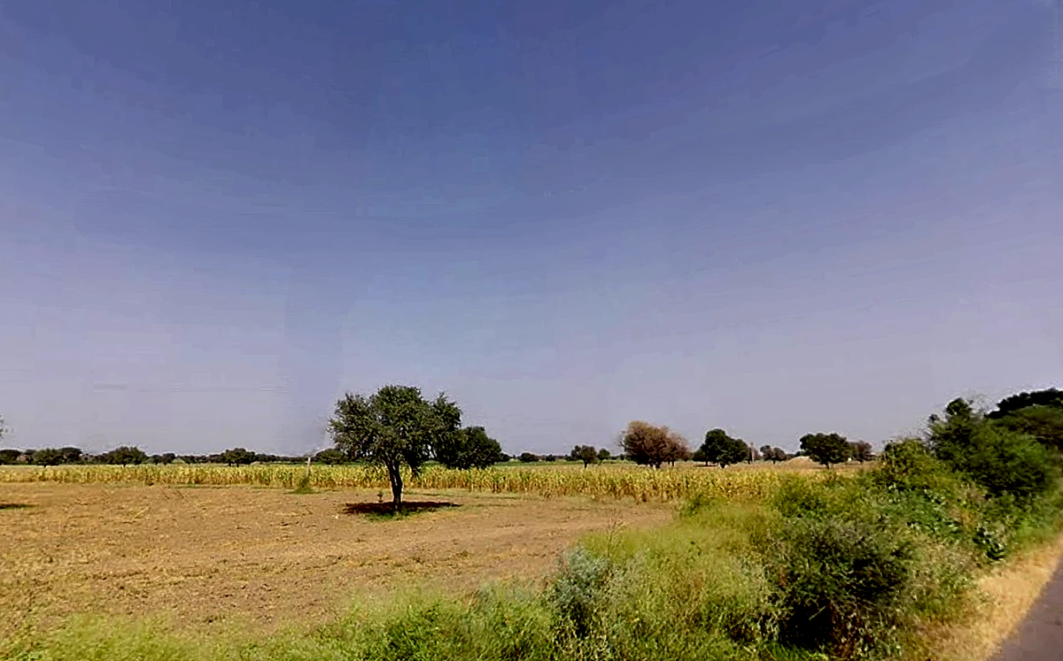 Alampur, Haryana 127040, India