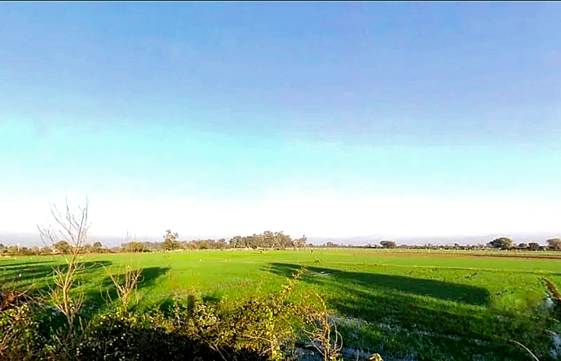 Mawana, Uttar Pradesh, India