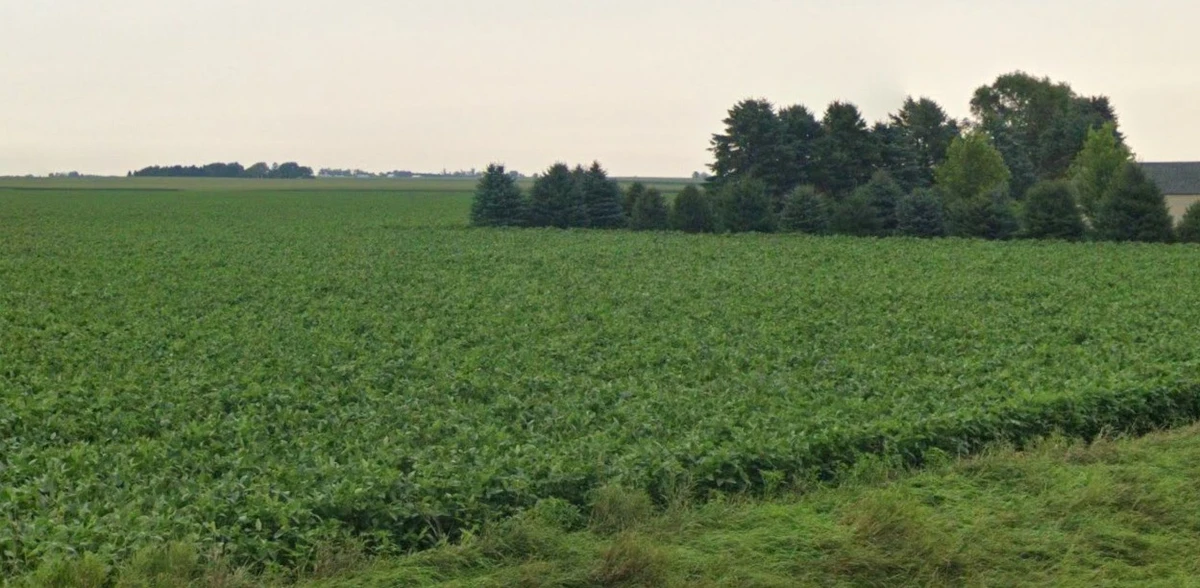 Sasabarad, Madhya Pradesh 451228, India