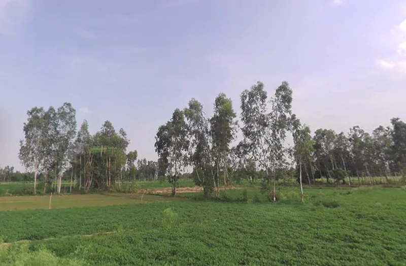 Parashurampuri, Uttar Pradesh 242221, India preview 3