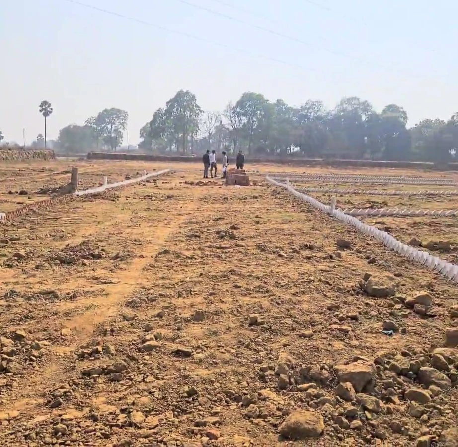 Naubatpur, Bihar 801109, India