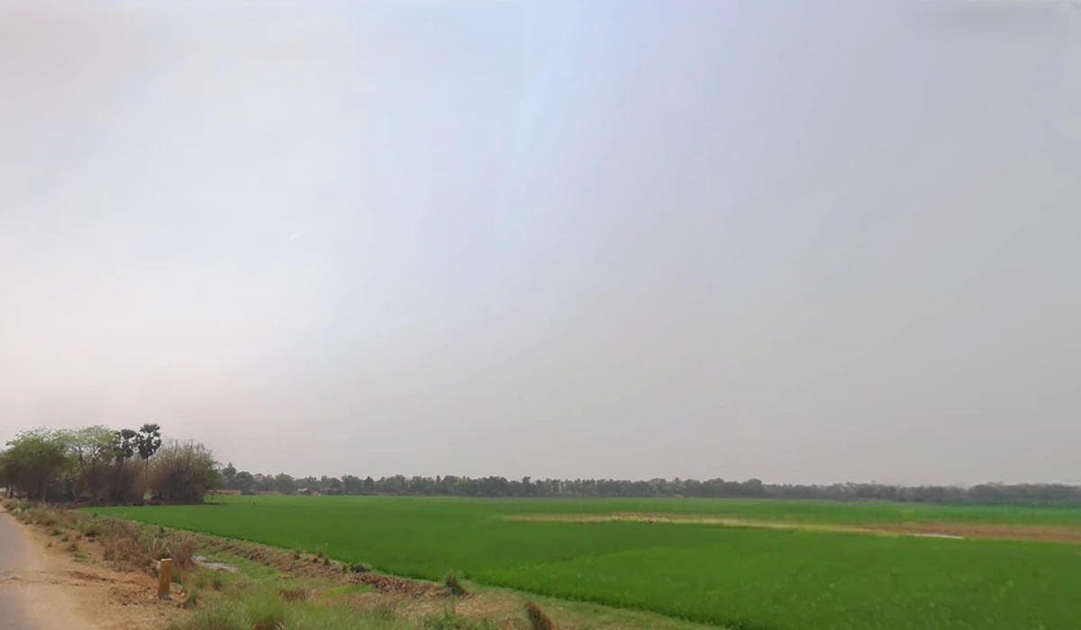 Newtown, Kolkata, West Bengal, India