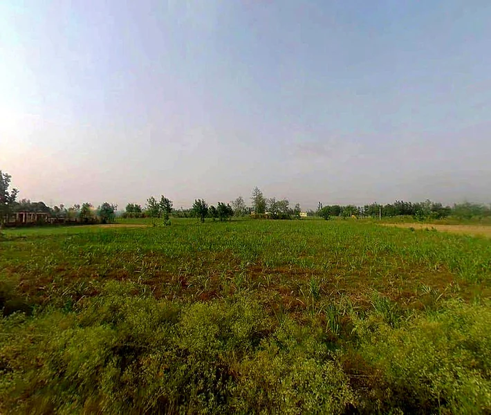 5JFC+MRQ, Jhitkari, Uttar Pradesh 250342, India preview 2