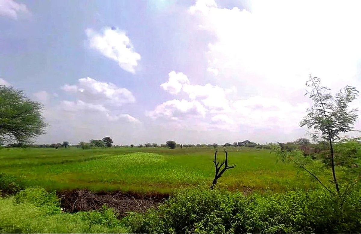 WC2C+QPG, Jobner- Asalpur - Boraj Rd, Jobner, Asalpur, Rajasthan 303328, India