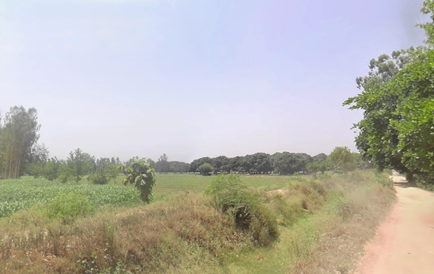 Govindpur, Bareilly, Uttar Pradesh 243502, India