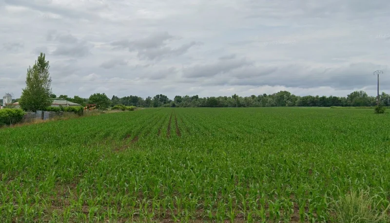 Rabupura, Uttar Pradesh 203209, India