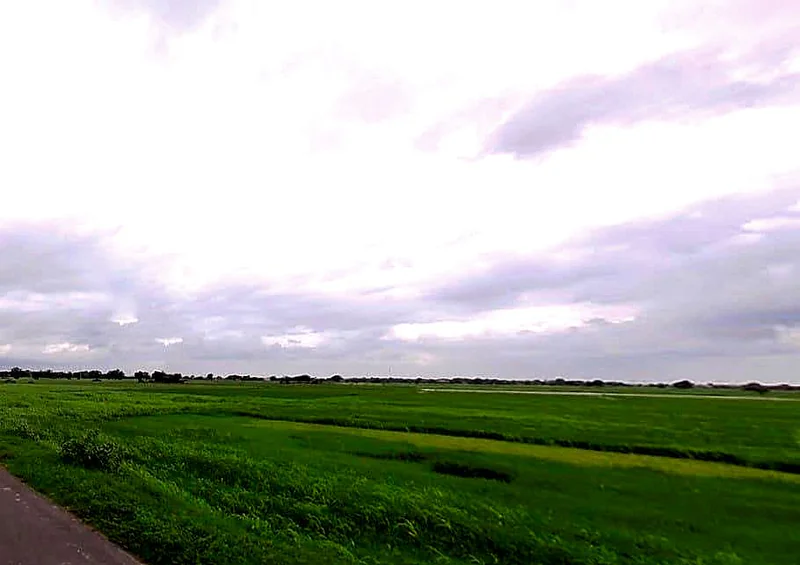 Piproli, Rajasthan, India