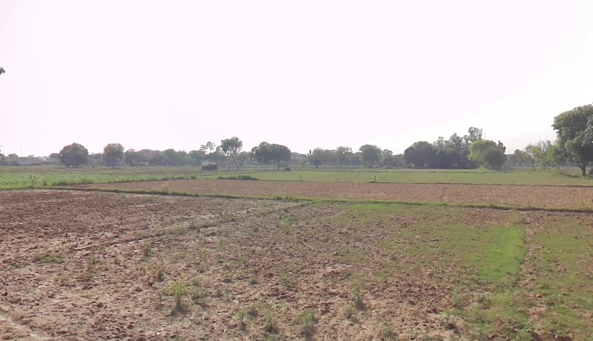 Ronsara, Madhya Pradesh 487330, India