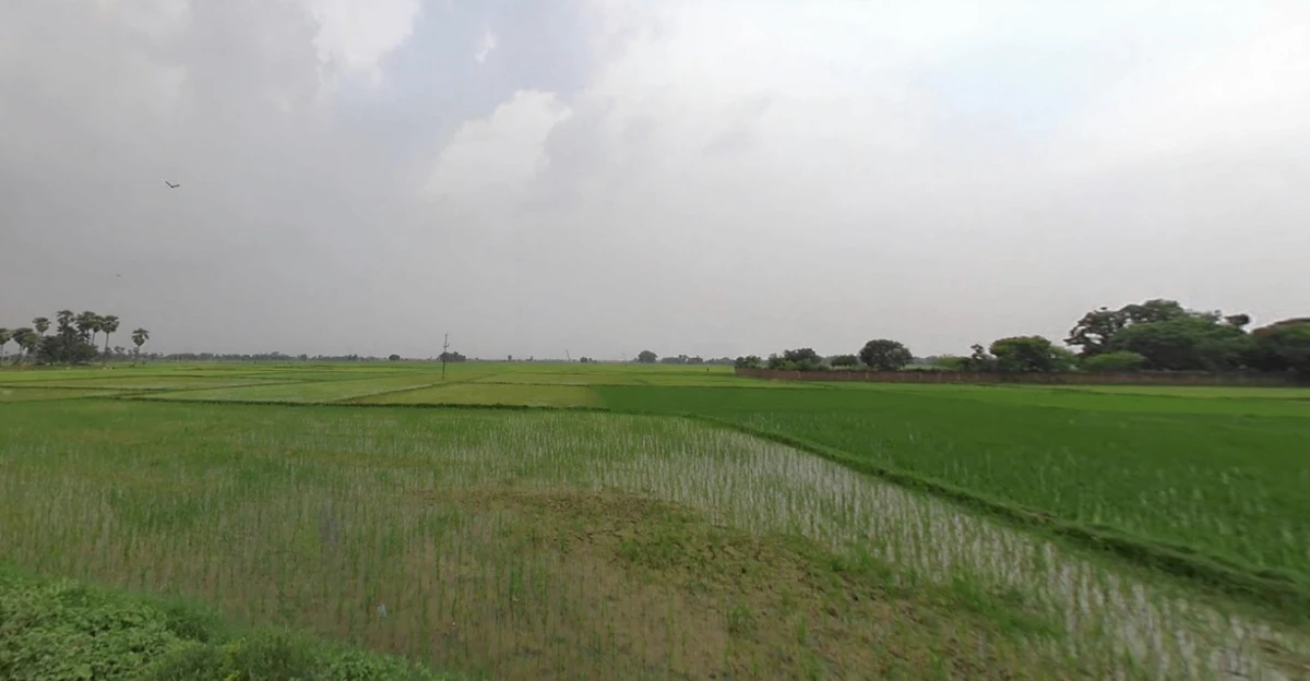 Sarmera, Bihar 811104, India