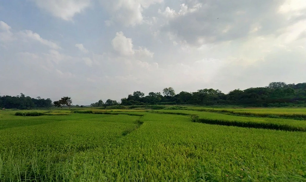 9CHP+CJ, Tatisilwai, Jharkhand 835103, India