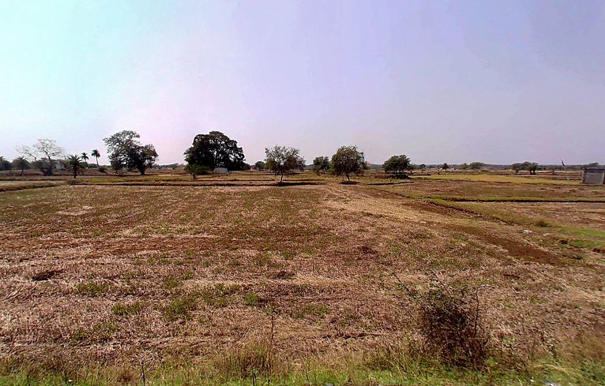 PG7P+J69, Simga - Kawardha Rd, Berla, Bemetara, Chhattisgarh 491335, India