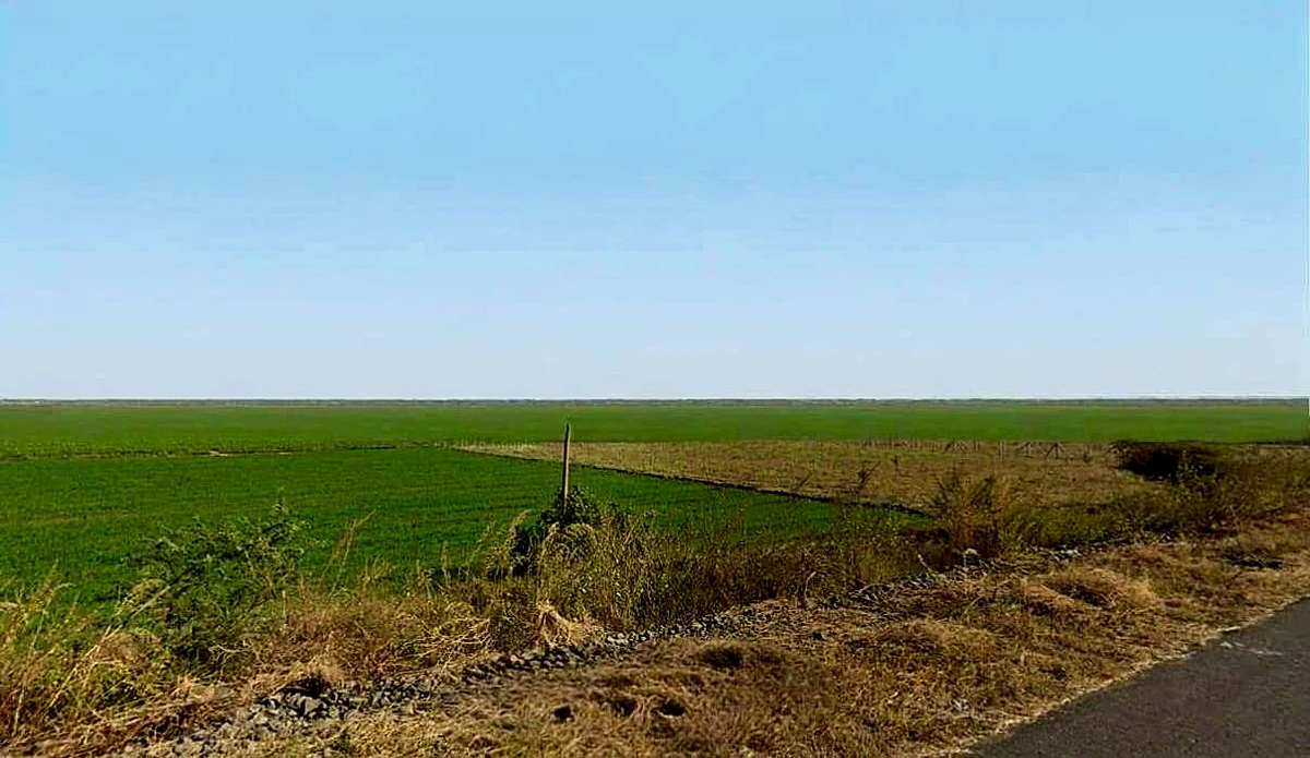 Bairagarh, Madhya Pradesh 455001, India