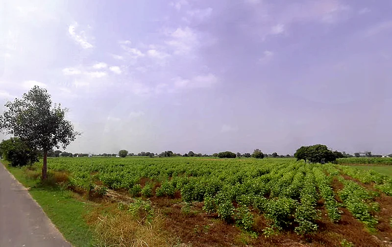 X8CR+FWC, NH 19, Khatela Sarai, Haryana 121105, India preview 2